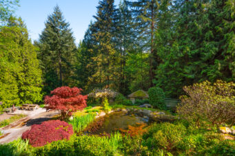 4228 Rockridge Crescent